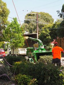 Large Mulching machine to Mulch tree waste