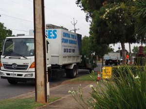 Public Safety - Clear No Go Area For Pedestrians - Tree Lopping